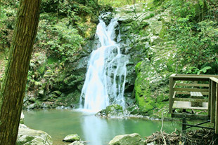 摂津峡の風景